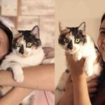 La importancia del hemograma en el diagnóstico veterinario