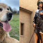 Día de San Roque: homenaje al protector de los perros