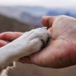 Martha y Peque: una historia de resiliencia