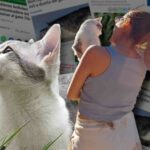 Cómo pasear a tu perro correctamente