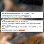 Héroes de cuatro patas: Perros al rescate tras la DANA en Valencia