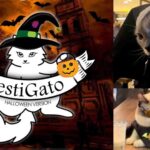 Fallece Garfield, el icónico gato guardián de la EMI en Santa Cruz