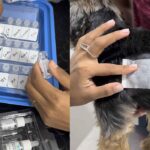 Parvovirus canino: características, transmisión y efectos
