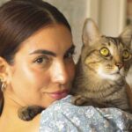 Parvovirus canino: características, transmisión y efectos
