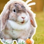 El impacto oculto de la dermatitis atópica canina: una carga emocional y económica para tutores y mascotas