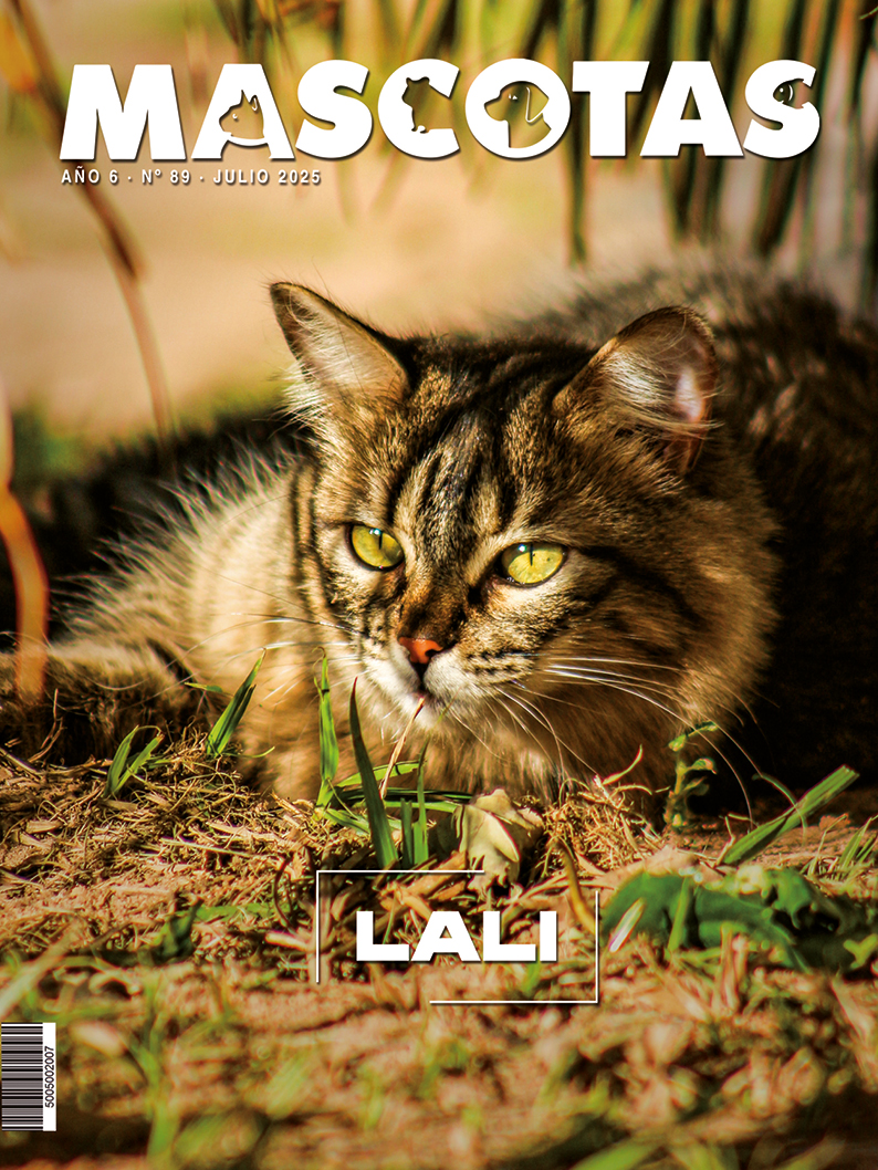 REVISTA MASCOTAS JULIO 2025