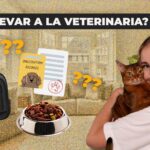 En el Día Mundial del Perro, reflexionamos sobre la tenencia responsable