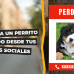 Moquillo canino: una enfermedad prevenible pero potencialmente mortal