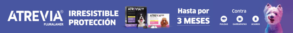 Banner-Web-Atrevia-XR-y-ONE--ExpoCruz-Bolivia