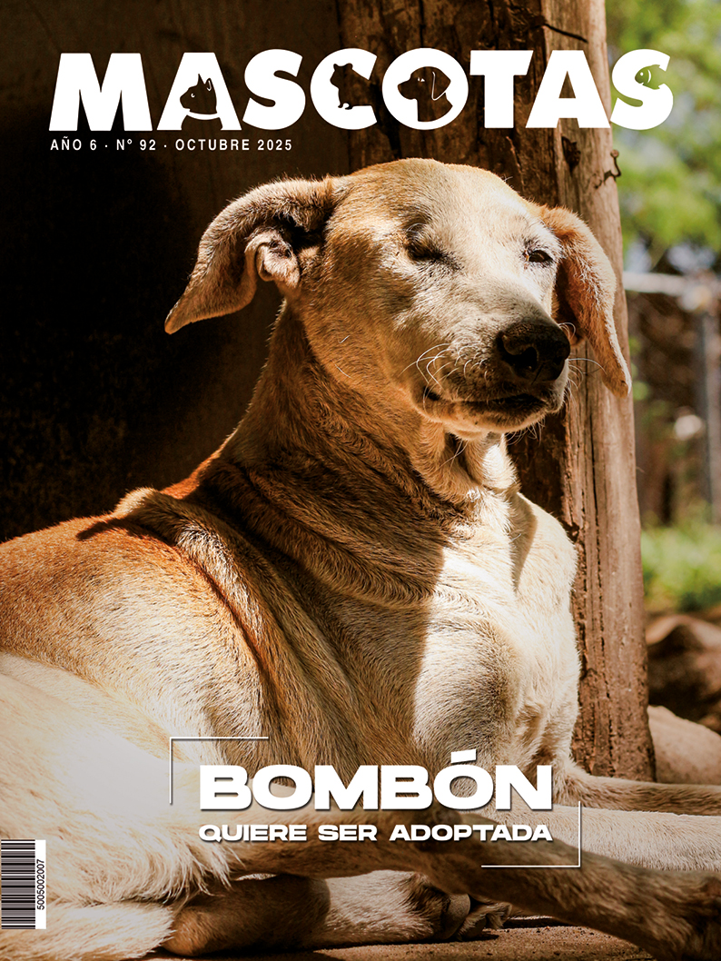 REVISTA MASCOTAS OCTUBRE 2025
