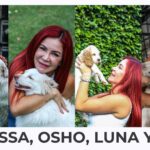 Mascotas abandonadas: la cara invisible de las deportaciones en EE.UU.