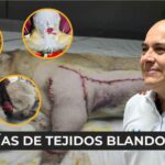 Cuidados posquirúrgicos en mascotas: guía para una recuperación segura