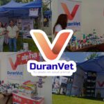 Día de los Muertos de las Mascotas: por qué se celebra el 27 de octubre y cómo hacer su altar