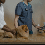 Bombón: seis años esperando una oportunidad de amor