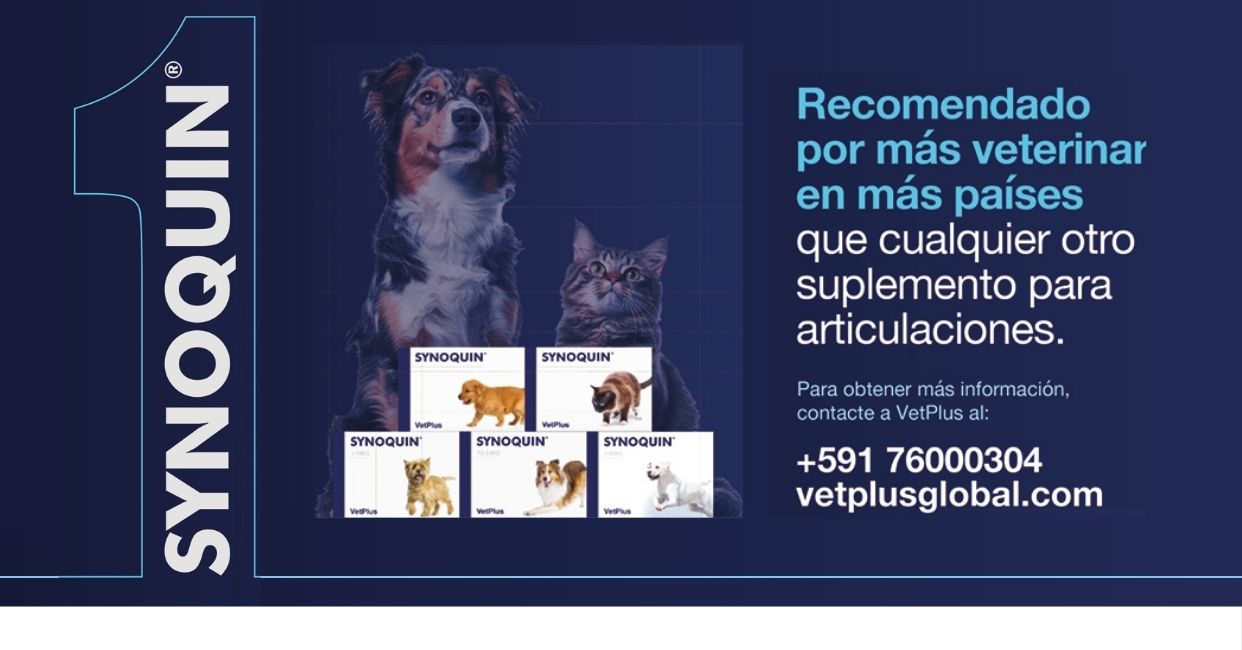 Diseño sin título (1)