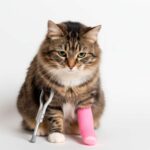 Vetforum 2025 reúne a estudiantes y profesionales en Yapacaní