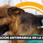 Nino se hace preguntas: cuento por Vania Sandoval