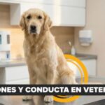 Animalia presenta Génesis, el alimento Human Grade que llega a transformar la nutrición veterinaria en Bolivia