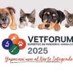 Desastres naturales y mascotas: cómo proteger a los animales en emergencias