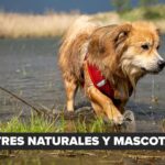 Vetforum 2025 reúne a estudiantes y profesionales en Yapacaní