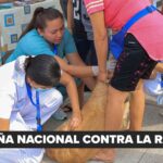 Desastres naturales y mascotas: cómo proteger a los animales en emergencias