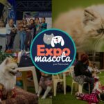 Tom Brady revela que su nueva perrita es un clon de Lua, su mascota fallecida en 2023