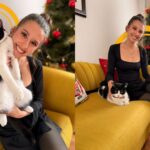 Lesiones articulares en perros y gatos requieren cirugía y seguimiento especializado