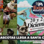 Mitos y errores frecuentes en la toma de muestras sanguíneas: lo que todo clínico debe evitar