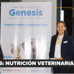 Ortopedia felina: precisión y cuidado en el manejo de fracturas