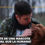 Cuando tu perro te mira a los ojos, tu cerebro responde: la ciencia explica por qué el vínculo es tan fuerte