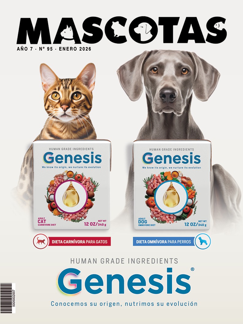 WhatsApp Image 2026-01-06 at 11.44.59 PM