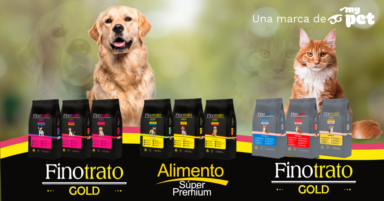 FINOTRATO 1242x650px