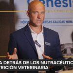 Atropellar o abandonar un perro tiene sanciones bajo la Ley 700