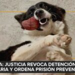 La ciencia detrás de los nutracéuticos en la nutrición veterinaria