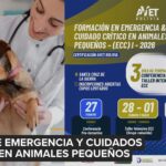Rugimos: la fundación de Bianca Flor que impulsará la esterilización masiva de perros y gatos en Bolivia