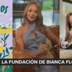 En verano se incrementa el riesgo de enfermedades por pulgas y garrapatas en las mascotas