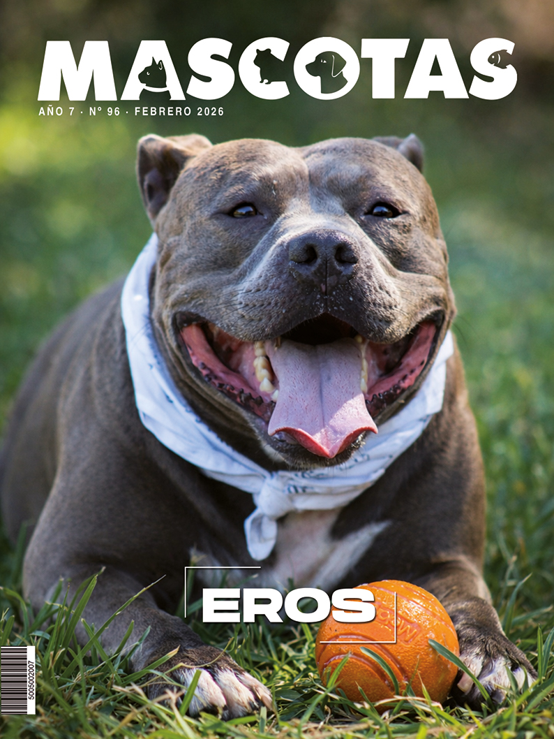 REVISTA MASCOTAS FEBRERO 2026.jpg