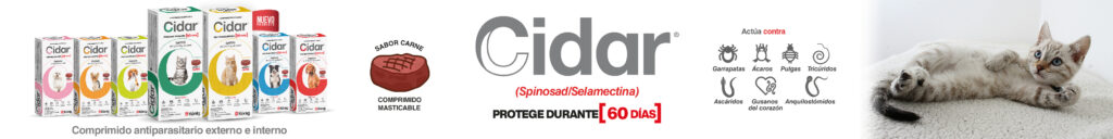 BANNER_Mesa de trabajo 1.jpg