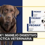 Central de Insumos: 25 años evolucionando con la salud animal en Bolivia