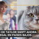 Conductas que te parecen raras, pero son normales en tu perro