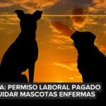 My Pet presentó sus nuevas líneas para mascotas en un Pet Brunch junto a veterinarios en Bolivia