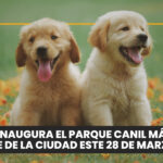 ‘Unidad’: el monumento que honra a quienes salvaron la vida de un perro en Kazajistán