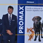 7 vidas, 0 oportunidades