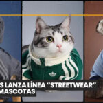 Billie Eilish y su iniciativa con cachorros durante su gira: bienestar emocional y adopción responsable