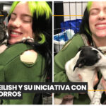 Adidas lanza línea “streetwear” para mascotas y apuesta por el mercado pet friendly