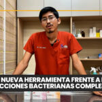 Junio: Un mes para celebrar el vínculo con nuestras mascotas 