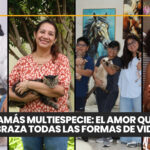 Floxaday: una nueva herramienta frente a las infecciones bacterianas complejas en pequeños animales