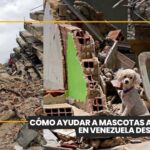 Zoonosis organiza una gran feria de adopción de perros y gatos en Santa Cruz
