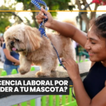 ¿Cuándo castrar a tu mascota y por qué puede mejorar su salud?