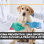 Uruguay propone otorgar licencia laboral remunerada por la muerte de una mascota